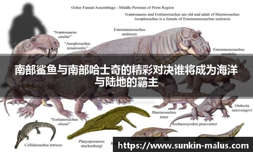 南部鲨鱼与南部哈士奇的精彩对决谁将成为海洋与陆地的霸主